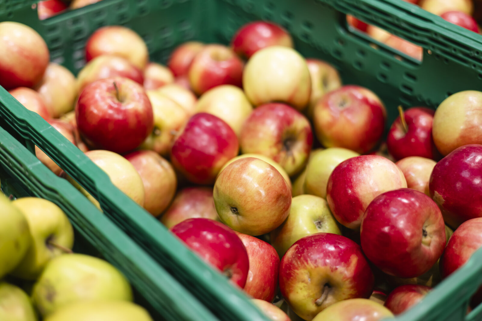Green crate containing fruit